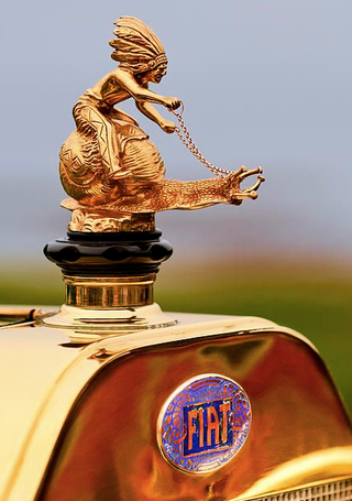 Illustration for article titled Is This The Weirdest Hood Ornament Ever?
